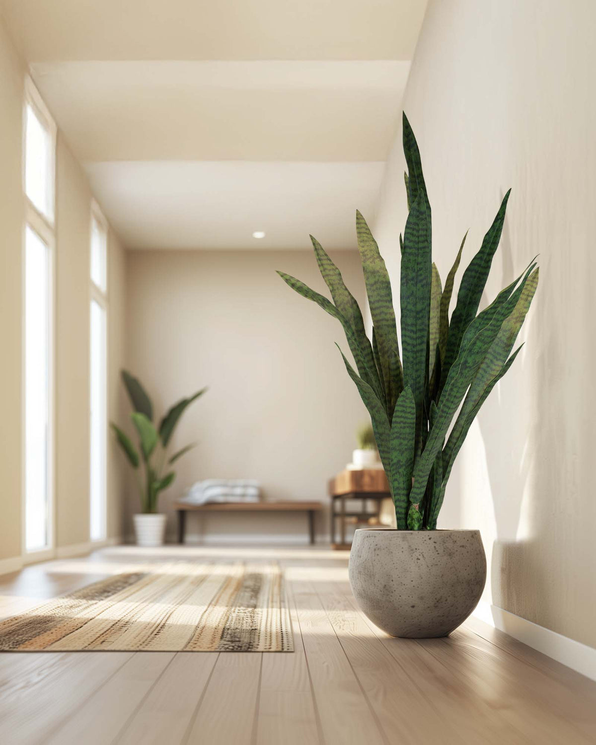 Ceylon-Bogenhanf - Sansevieria trifasciata Kunstpflanze