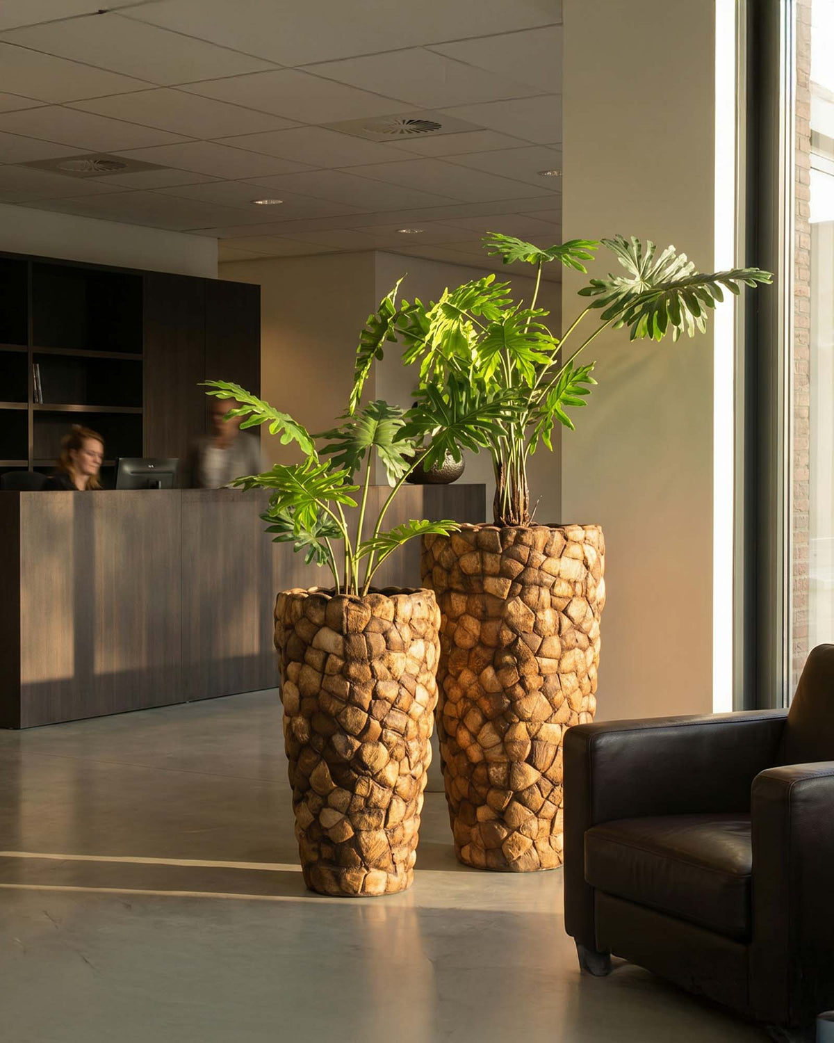 Großer Baum-Philodendron als Kunstpflanze in moderner Betonoptik Frontansicht für architektonische Raumgestaltung