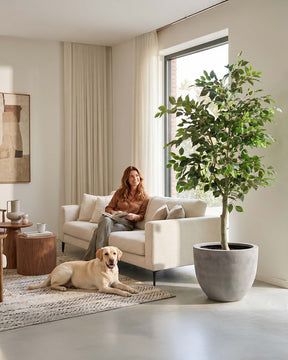 Ficus Tree - Birkenfeige Kunstpflanze