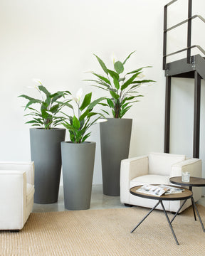 Basalo Conical Bodenvase